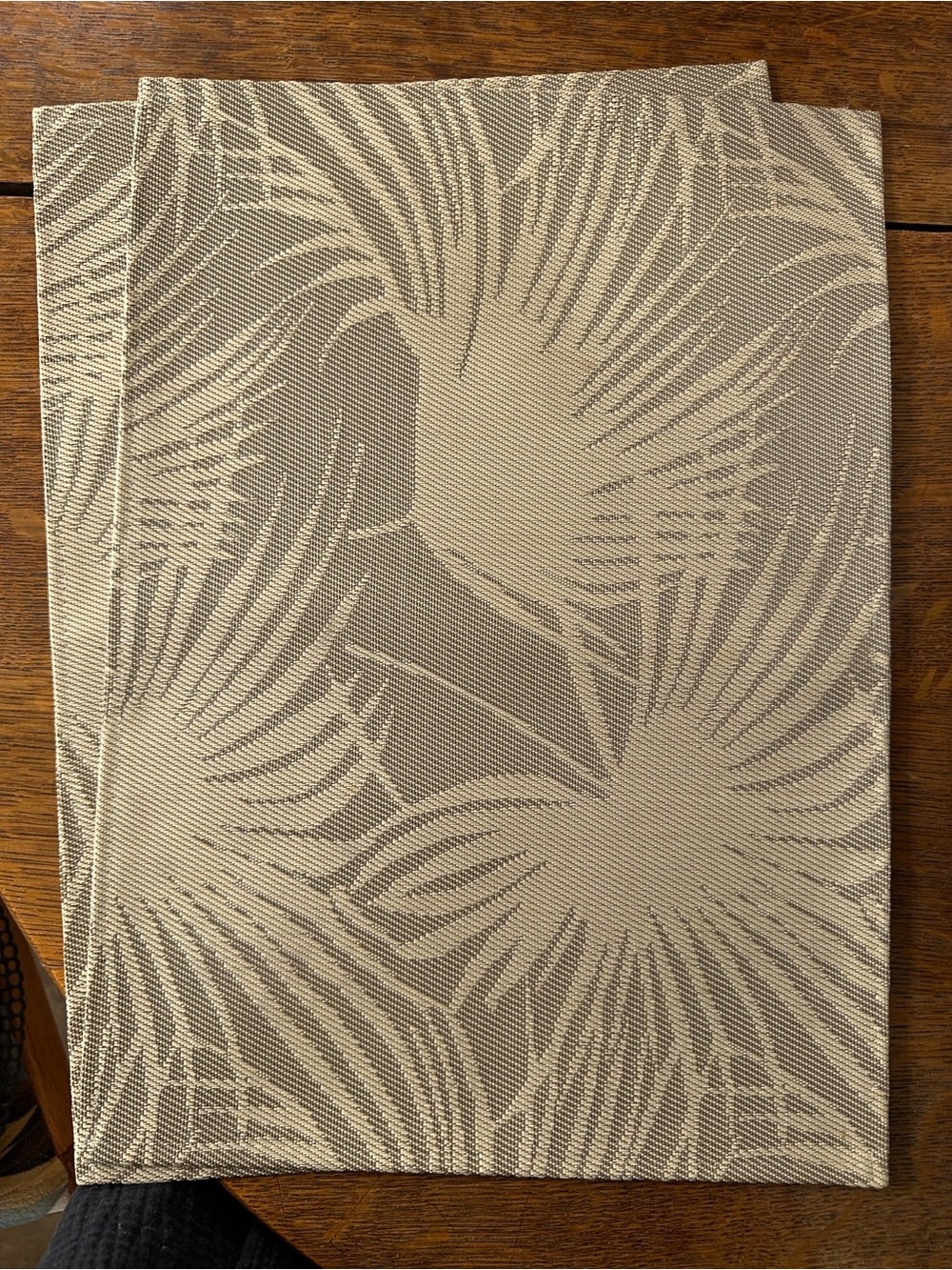 Palm Leaf Woven Vinyl Placemat Set of 2
